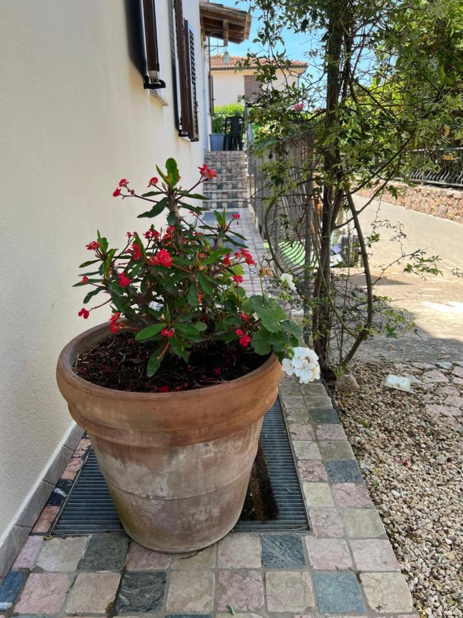 Ferienwohnung L'Essenziale Pula Exterior foto